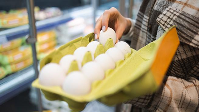 Eggs Supermarket Teaser