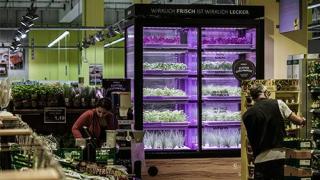 3. KROGER TO INTRODUCE HYDROPONIC FARMS IN STORES