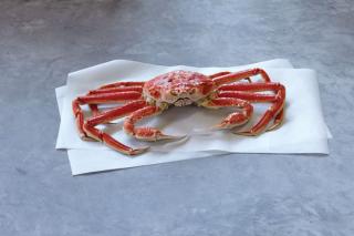 Huge Harvest of The Alaska Crabber’s Favorite Crab