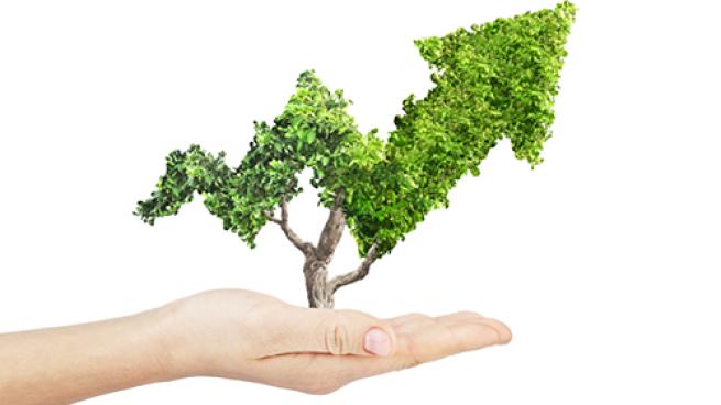 How to Drive ROI With Sustainability Efforts: Real World Lessons from Industry Leaders