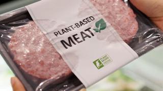 Plant-Based Meat Teaser