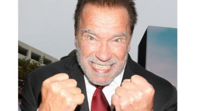 Schwarzenegger teaser