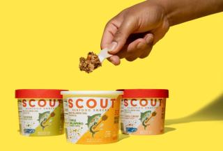 Scout Seafood Snacks