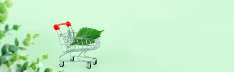 Supermarket Sustainability Hero Article