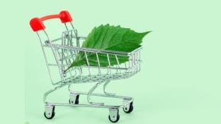 Supermarket Sustainability