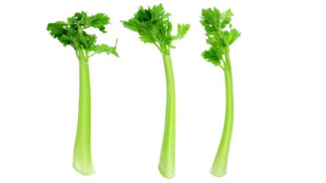 Celery Teaser