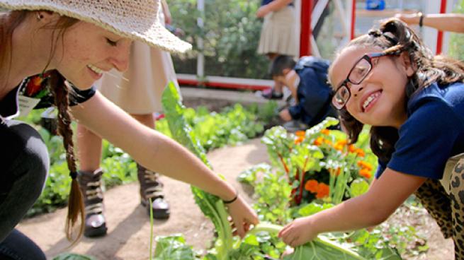 Sprouts School Gardens Teaser