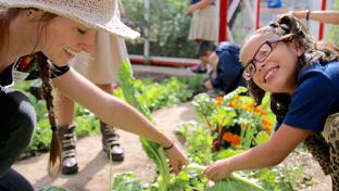Sprouts School Gardens Teaser