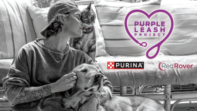 For Domestic Violence Victims and Their Pets, We Aren’t Backing Down